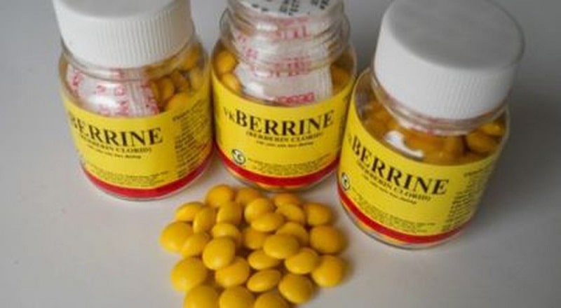 Dùng berberin là cách chữa gà chọi bị đi ngoài hiệu quả